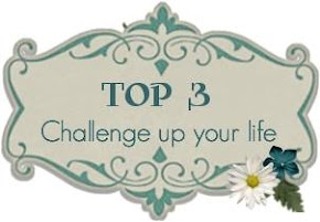 Top 3 für die Challenge # 68