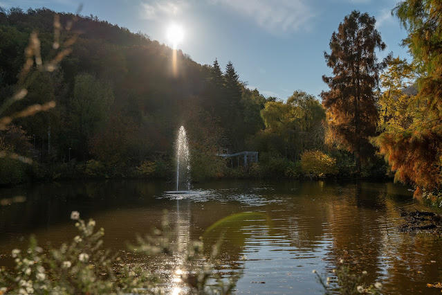 Pfälzer Keschdeweg | Etappe 2 Annweiler bis Albersweiler | Wandern Südliche Weinstraße | Wandern Wasgau 04