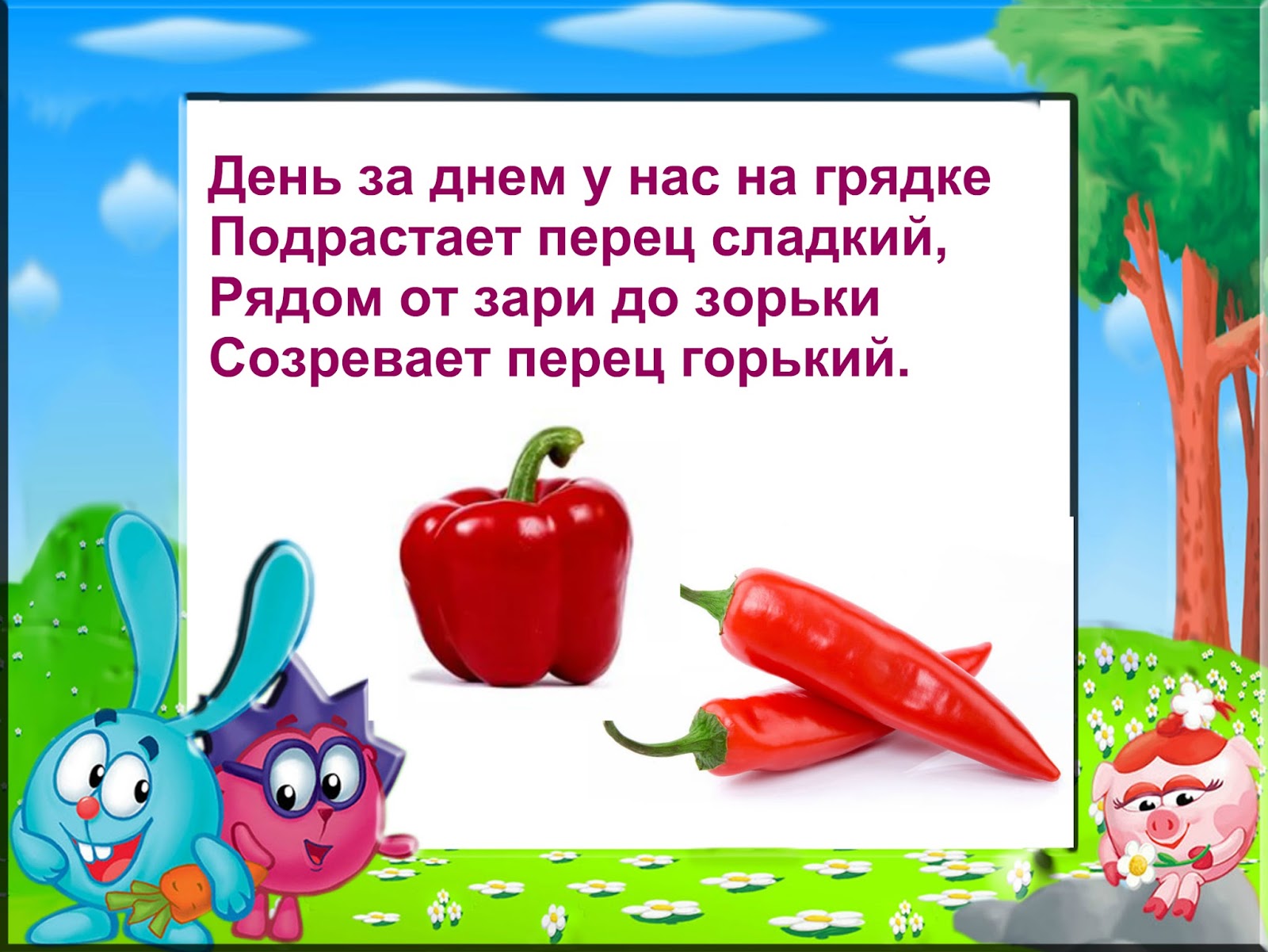 Летом у нас на грядках текст. Стихотворение про перец для детей. Стихи про овощи. Детский стишок про перец. Загадки про перец для детей.