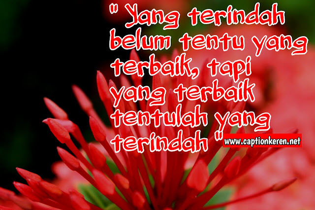 Kata Kata Romantis Buat Gebetan Terbaru 2019