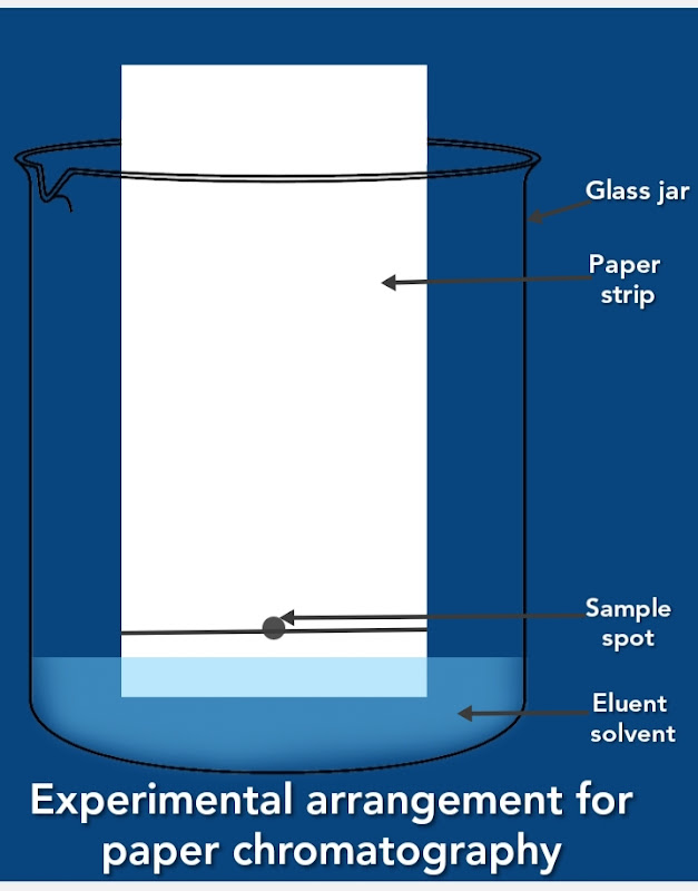 Separation techniques, chromatography its classification and paper