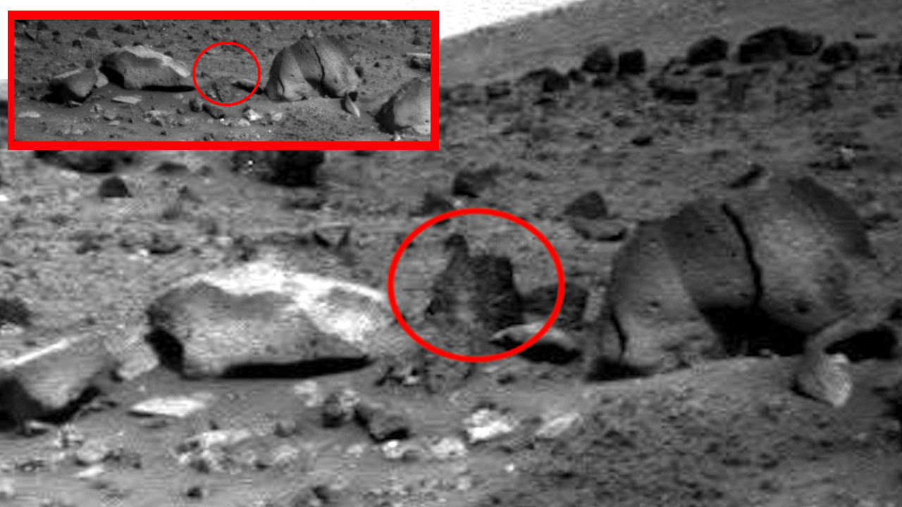 На марсе возможна жизнь. Снимки Марса Скотт Уоринг. Живые камни на Марсе. Странное существо на Марсе. Странные объекты на Марсе.