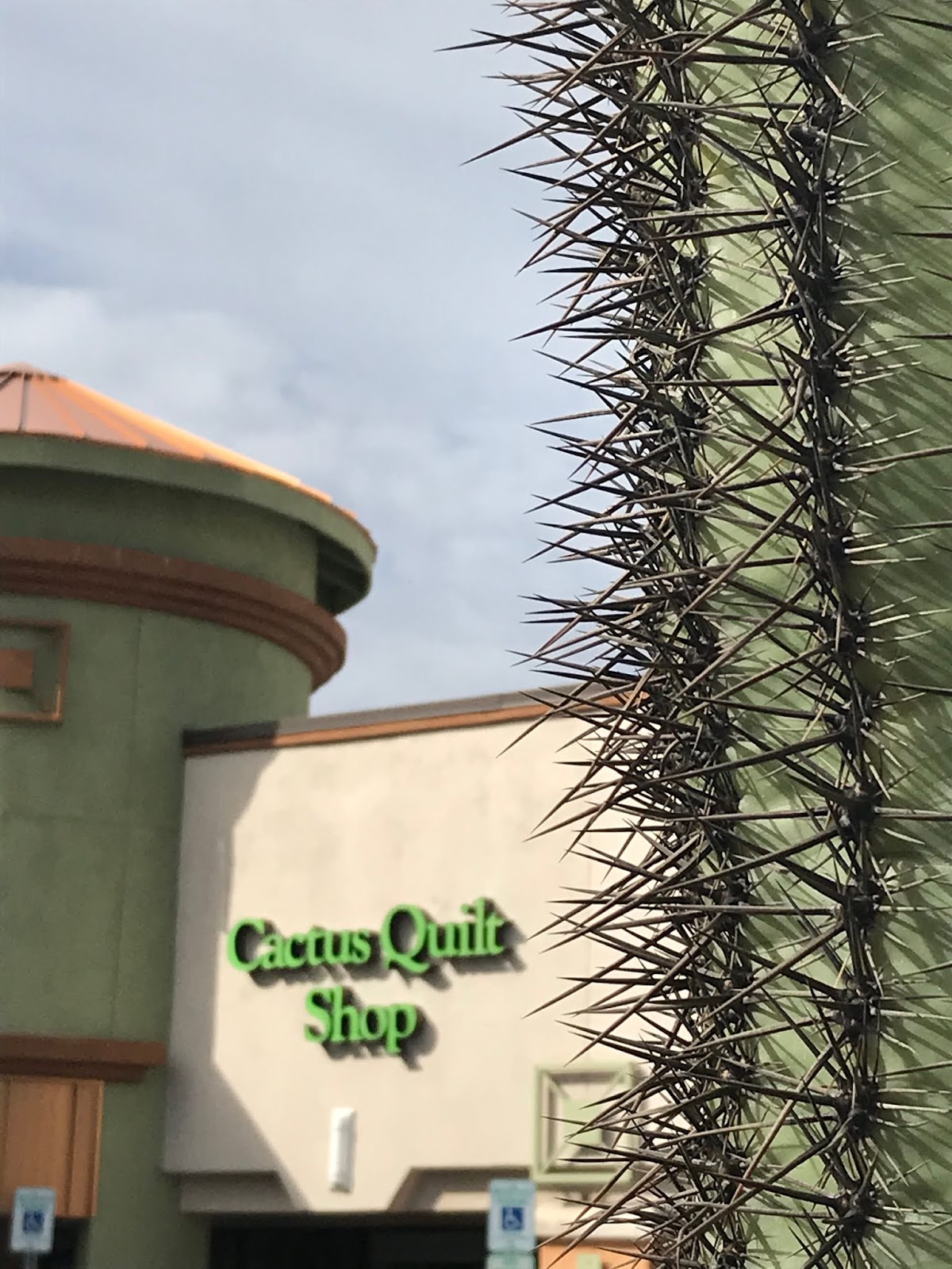 Sherrie loves color! Tucson quilt shops