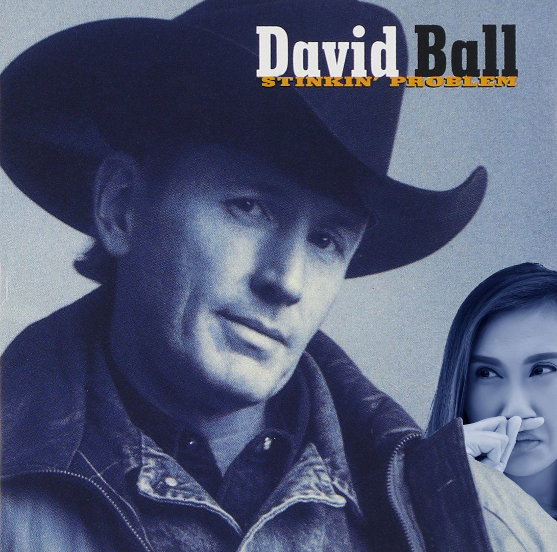 Farce the Music: 6 New 90s Country Parody Album Covers