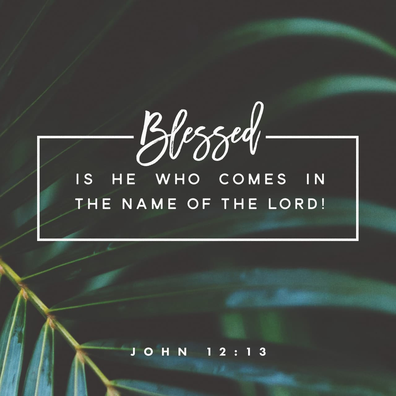took the branches of the palm trees, and went forth to meet him, and cried out, Hosanna: Blessed is he that cometh in the name of the Lord, even the King of Israel. John 12:13 ASV https://bible.com/bible/12/jhn.12.13.ASV