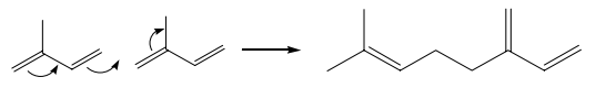 يتم الارتباط بين وحدات الأيزوبرين لتكوين التربينات عن طريق ارتباط الرأس مع الذيل كما يلي :-