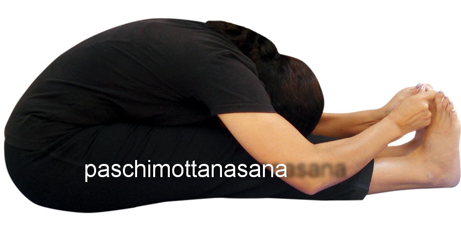 Pengertian Dan Hakikat Yoga Bahan Ajar Smk Kelas Xi