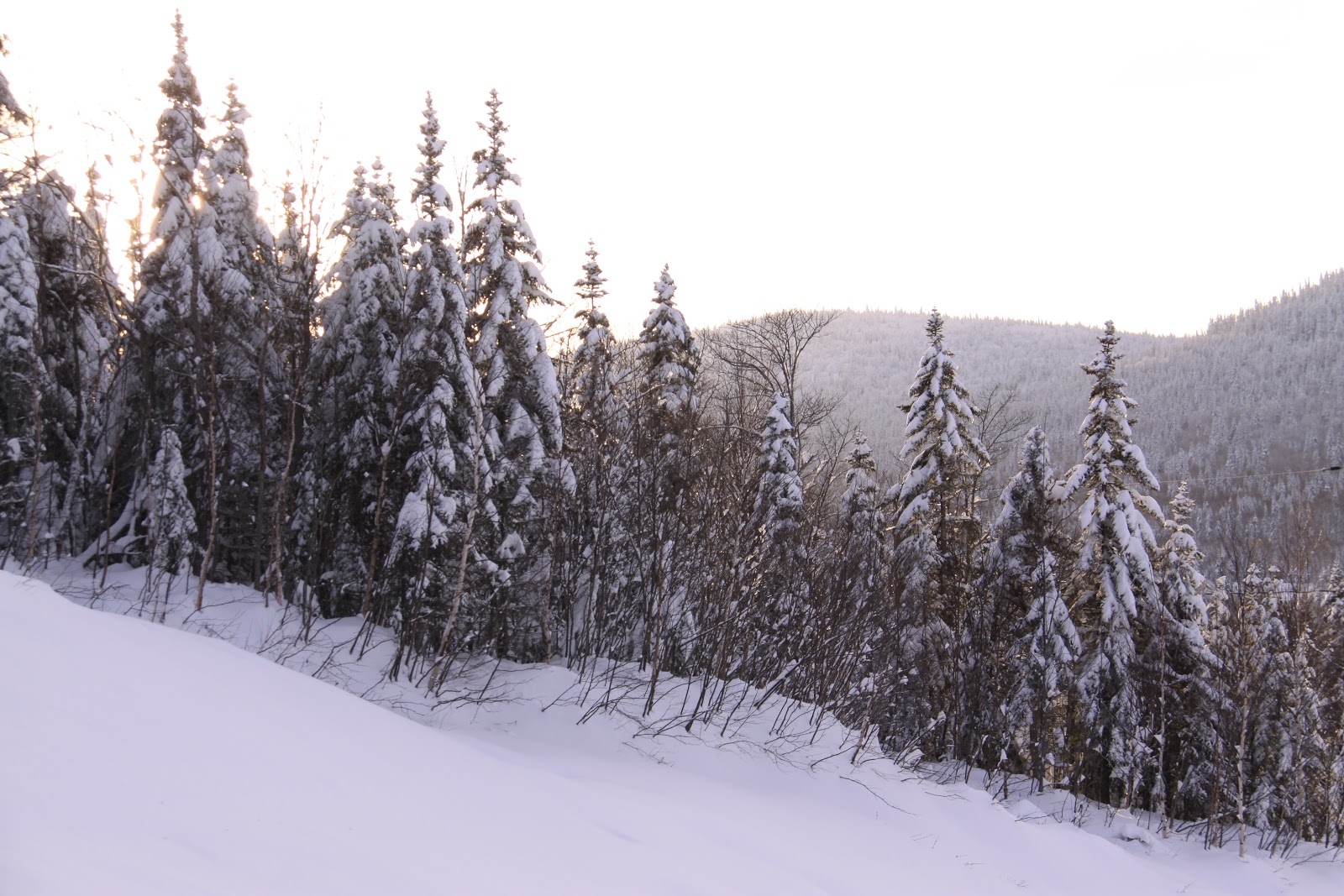 Ski au Massif de la Petite Rivière SaintFrançois