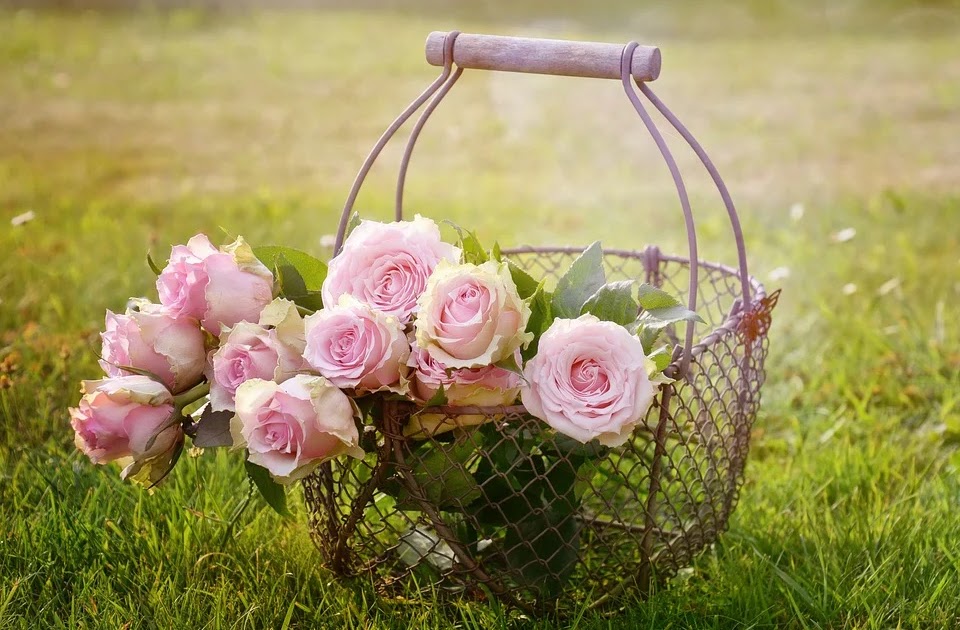 English to Spanish Types of Flowers in Spanish