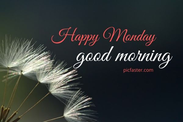 40+ Good Morning Monday Images, Quotes [2023] | Daily Wishes