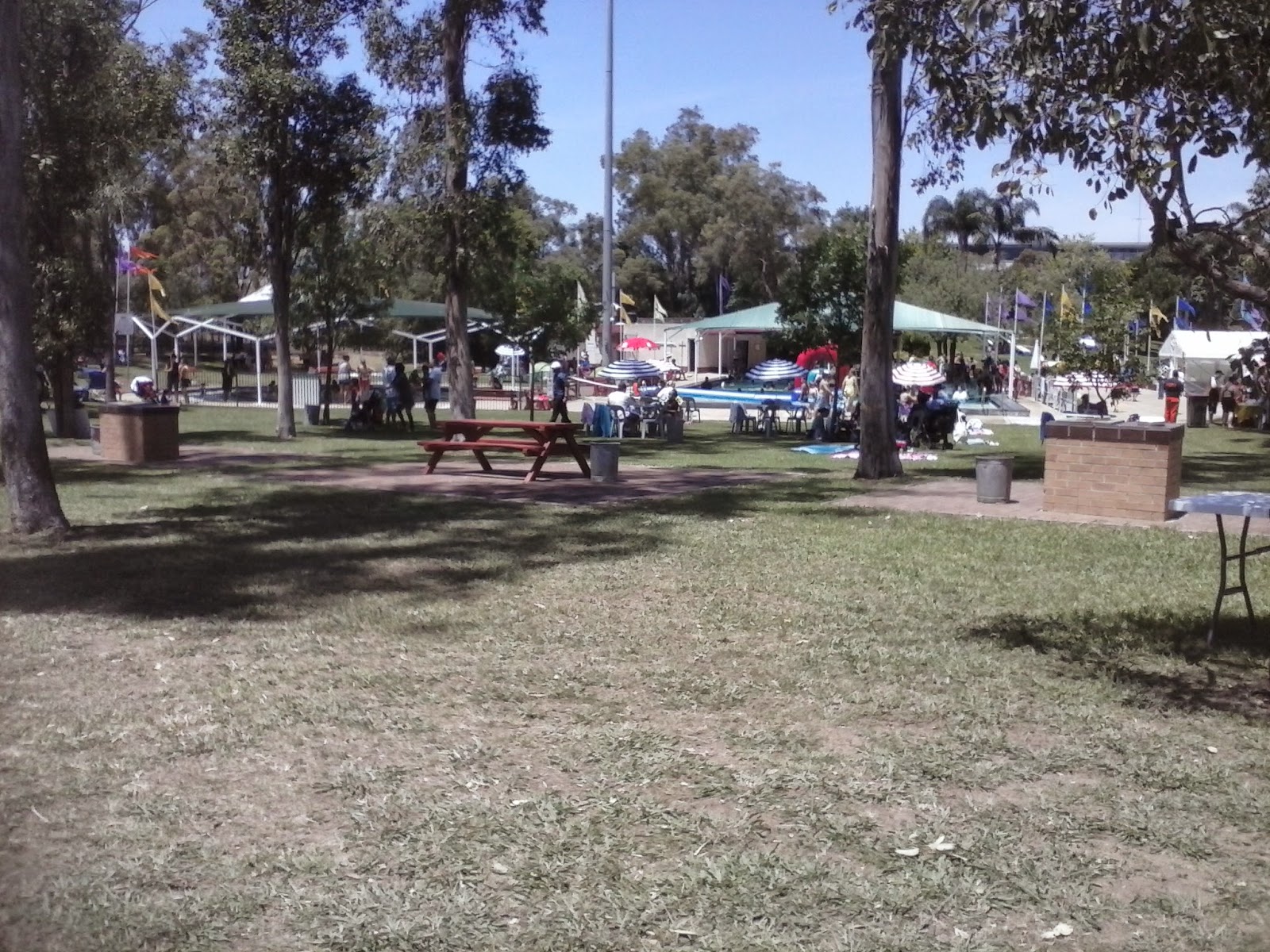 Why I Love Mount Druitt! Mount Druitt Pool Is Now Opened By Mayor