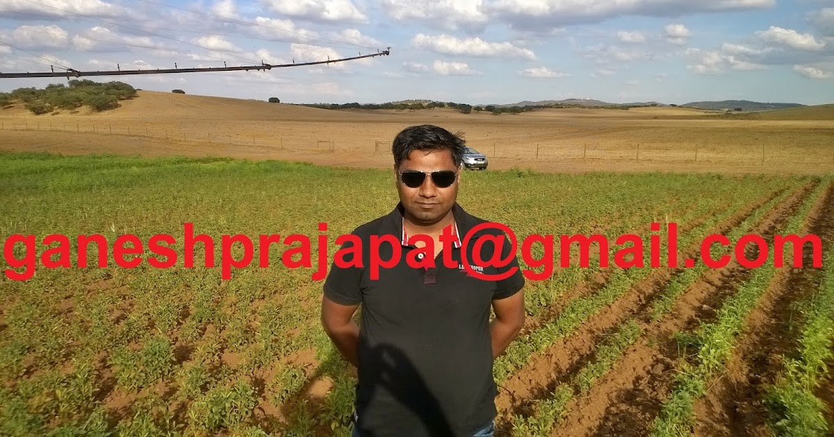 GUAR GUM INFORMATION AND GUAR GUM CULTIVATION IN INDIA Guar and Guar