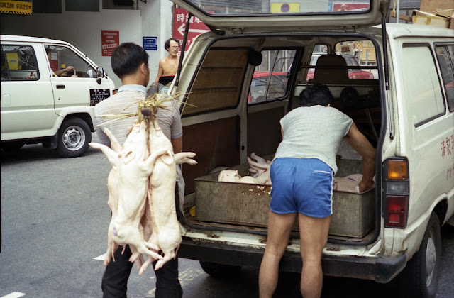 豚肉出荷,香港〈著作権フリー無料画像〉Free Stock Photos