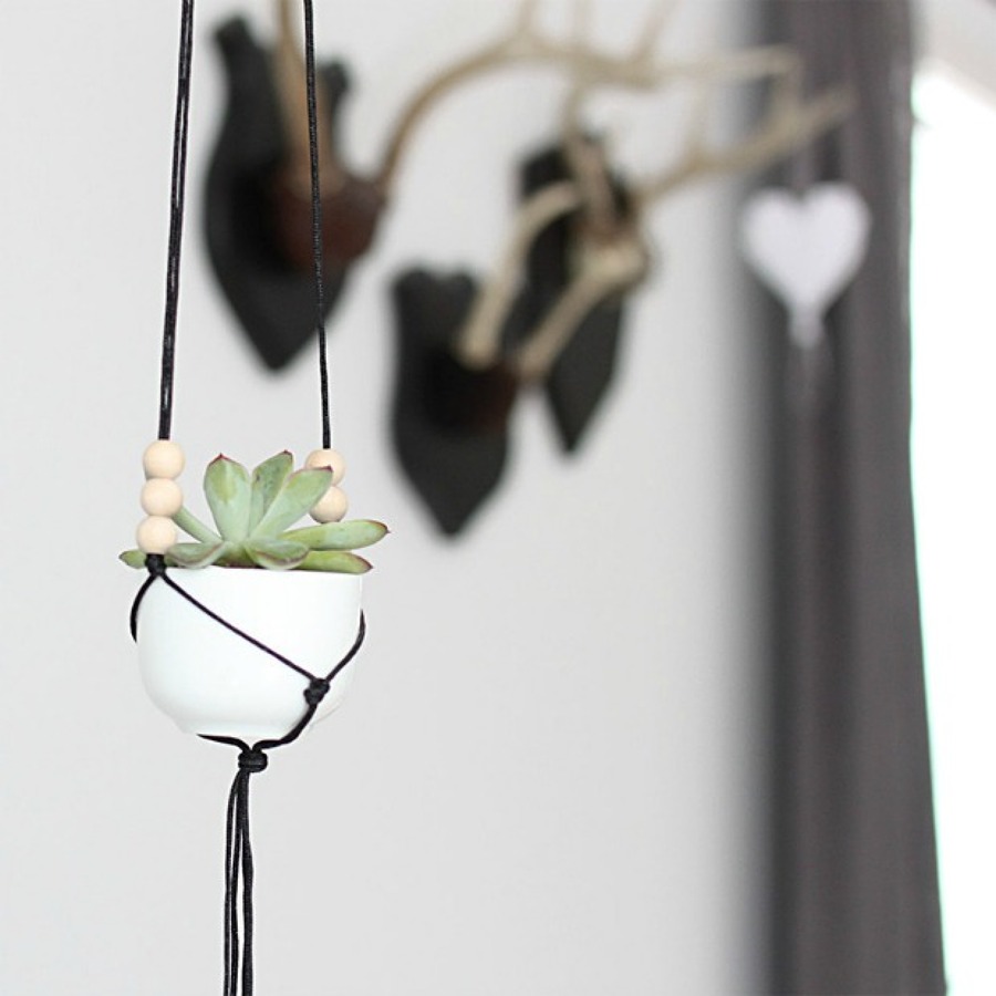 cuerda colgante jardín interior