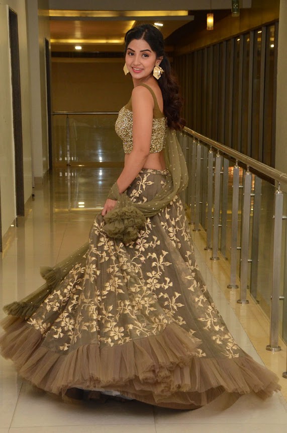 Kashmira Pardeshi at Narthanasala Pre-Release