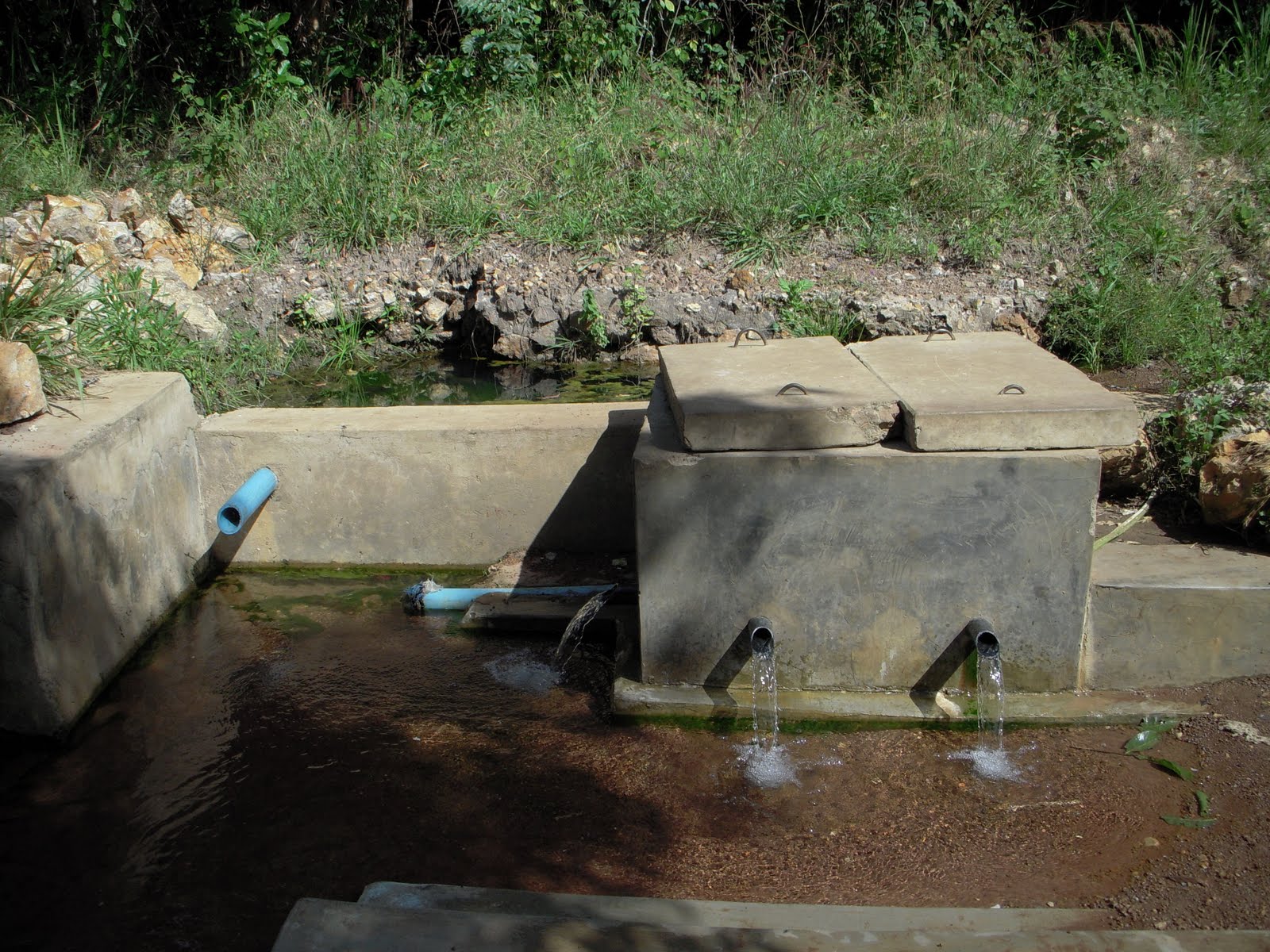 BLOG Geology for Global Development Friday Photo (5) Spring