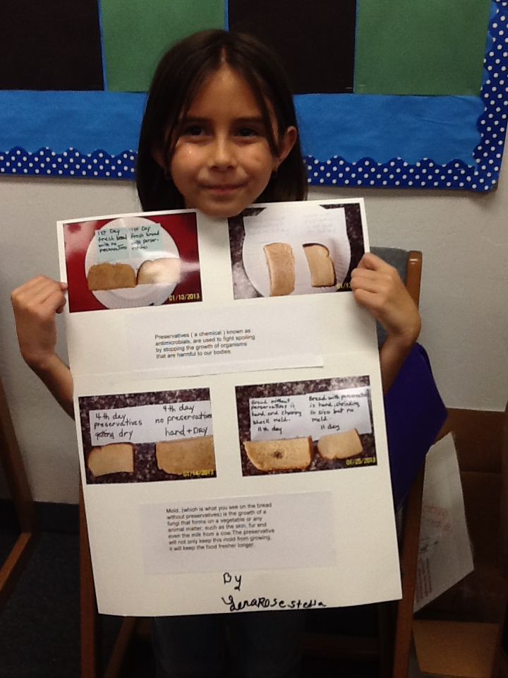 Ms. Reeve's Second Grade: Science Fair Projects
