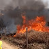 HOMEM MORRE CARBONIZADO TENTANDO APAGRA FOGO NA REGIÃO NORTE DO PR