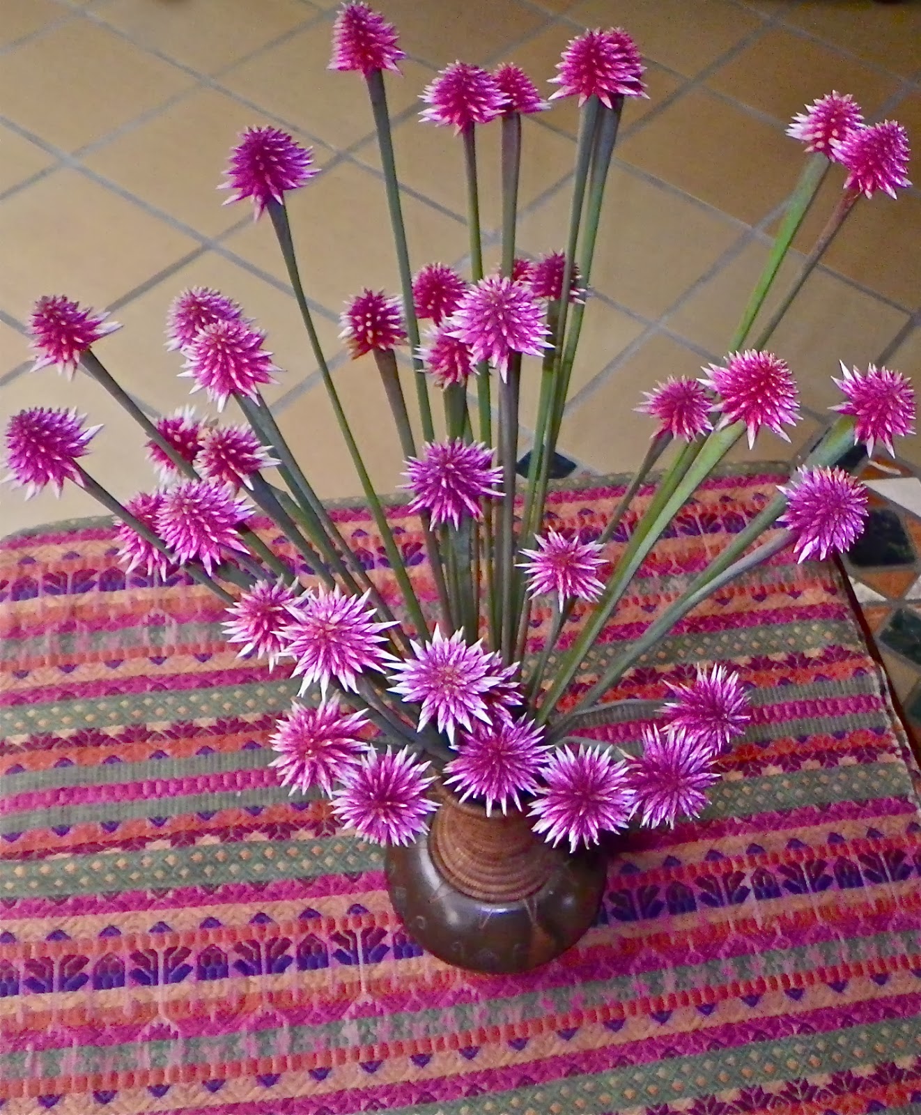 FLOR DE INIRIDA