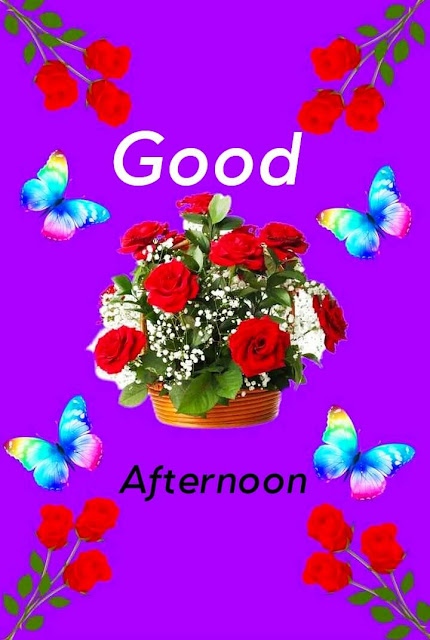 Good Afternoon Images Photo HD Download