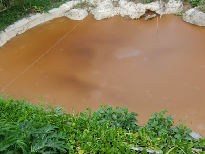 Kolam ikan penuh misteri Kolam ikan penuh misteri