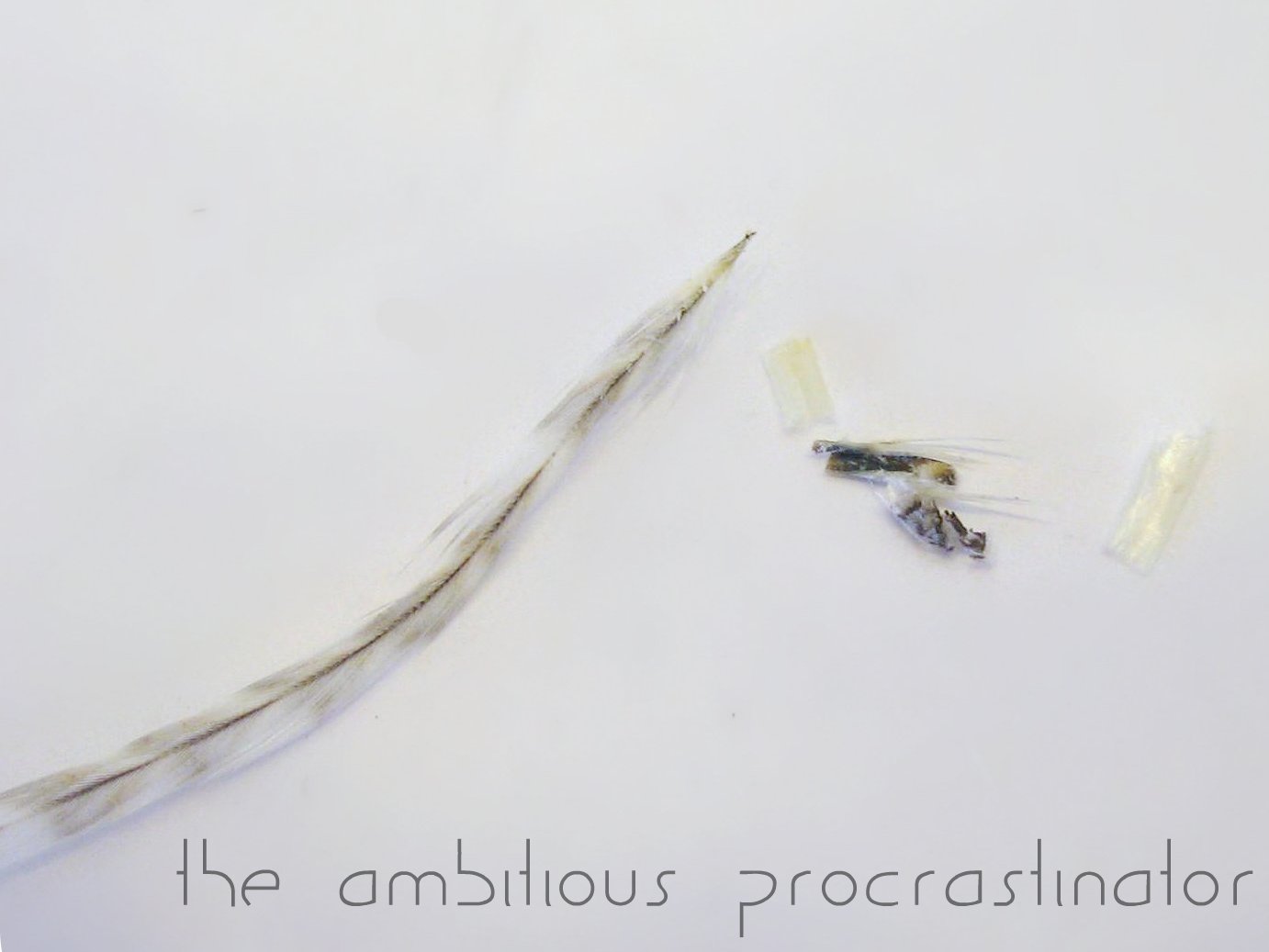 the ambitious procrastinator How to Feather Hair Extensions