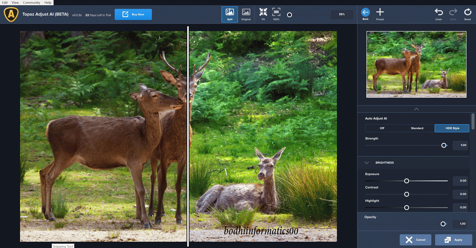 download topaz photo ai 1.3 0 download topaz photo ai 1.3 0