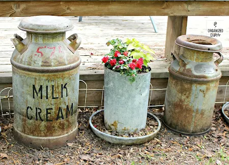 Vintage Milk Cans in the Garden