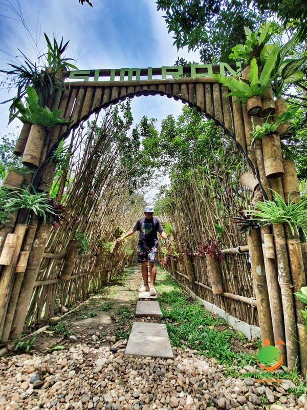 Short Visit to Sumiran Eco Camp the InstaWorthy Place