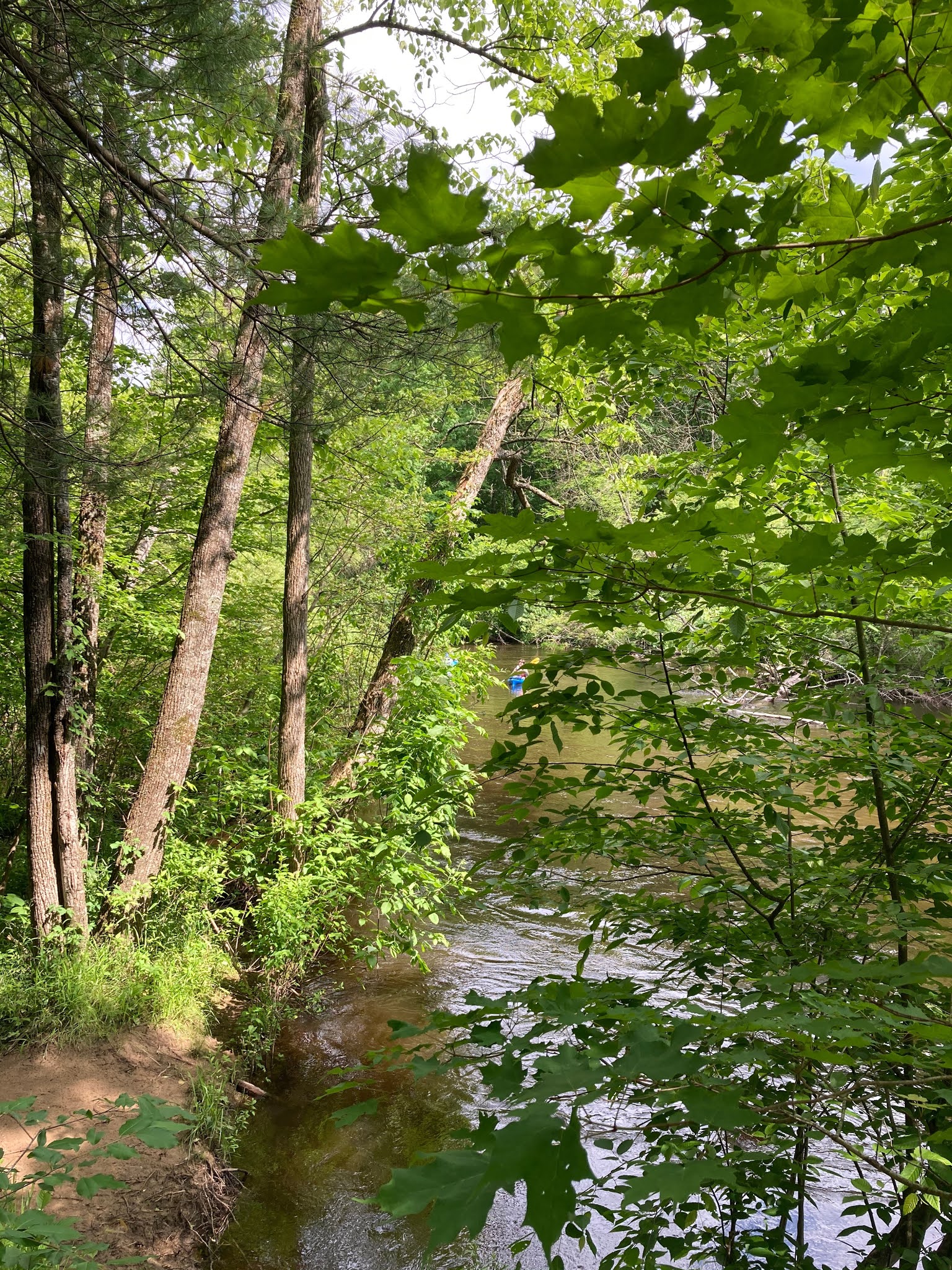 Travel Reviews & Information Hesperia, Michigan Pines Point