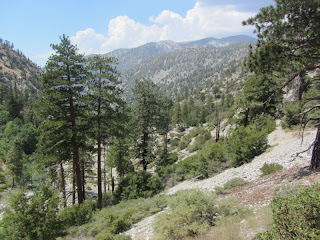 View west in Icehouse Canyon