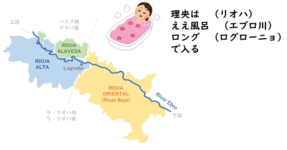 ヤマちゃんのワインエキスパート Wset Level3 英語 勉強ノート 7月 21