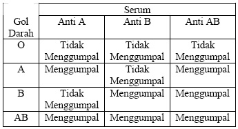 Cara Menentukan Golongan Darah