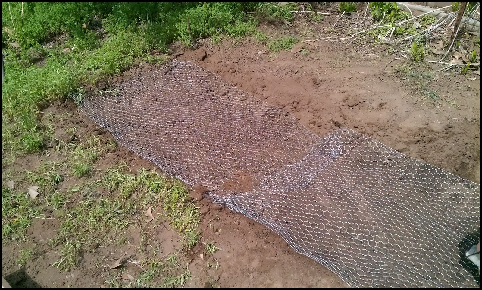 Gopher Proof Garden Beds Krafty Fox