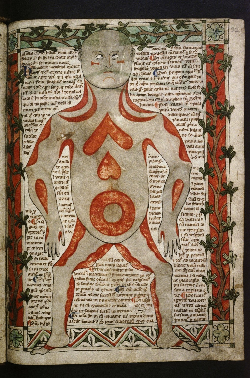 book essay manuscript medicine medieval source book essay manuscript medicine medieval source