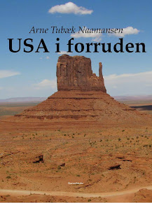 PDF e-Bog: USA i forruden