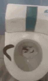 Eckelhaft - Selbstreinigende Toilette - Haushalt lustig