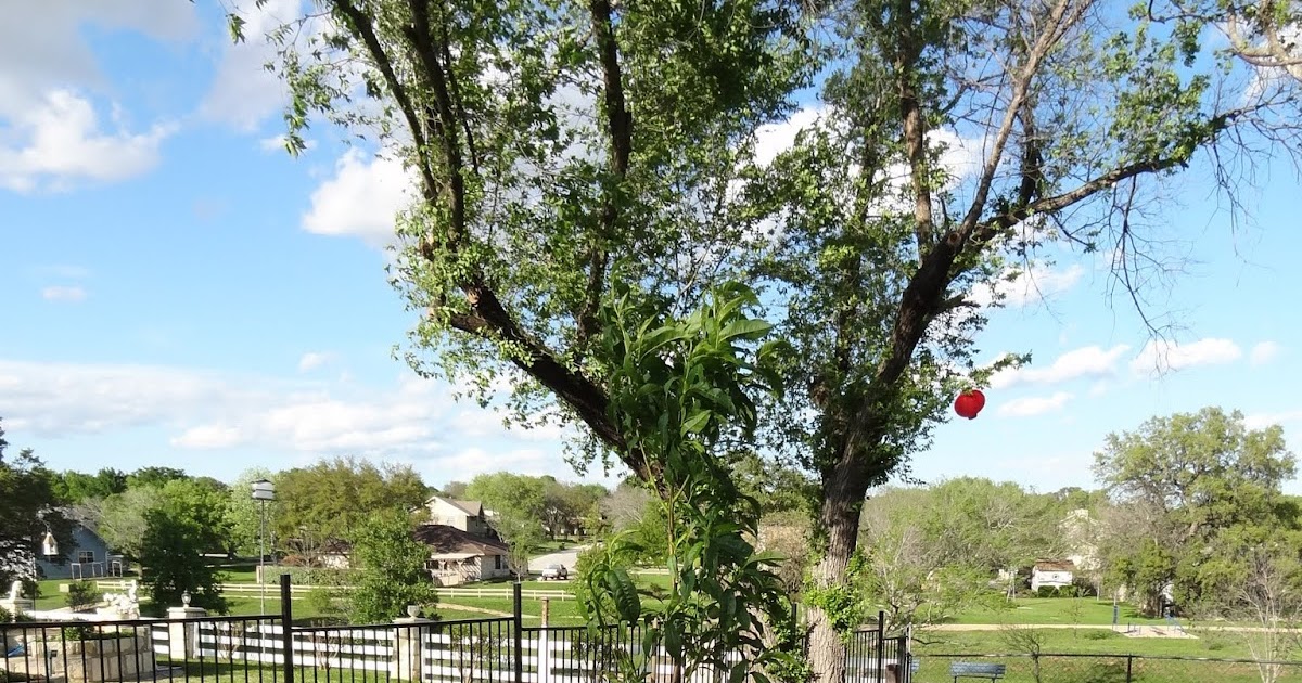 is there a costco in florida