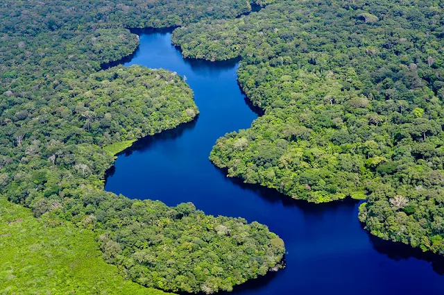 amazon-rainforest-intersting-facts