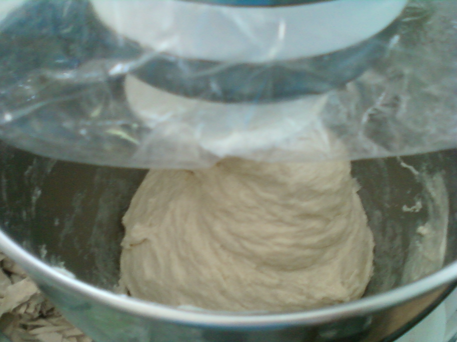 Whole Wheat Spanish Bread