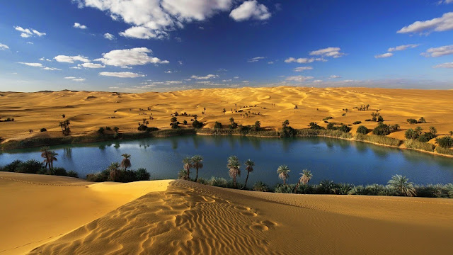 143245-Desert Oasis Water Landscape HD Wallpaperz