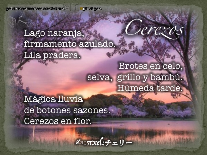Cerezos.jpg