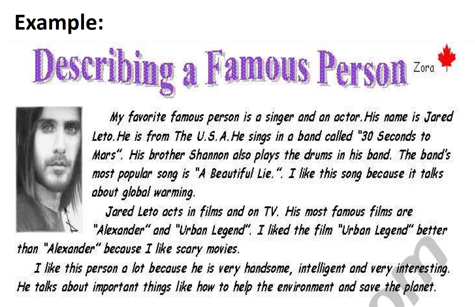 essay about favourite celebrity