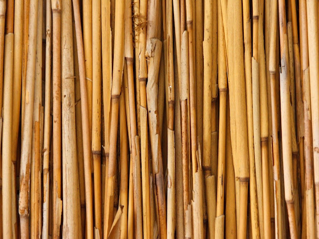 panduan mengawetkan bambu