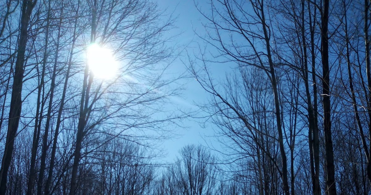 [心得] 放射學系畢業之後呢? 國外研究所篇