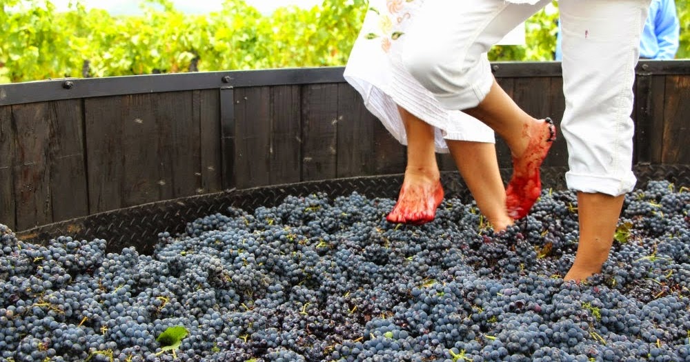 se hacía el vino en la antigüedad? Hola Zacatlán Entretenimiento, Guía de ciudad se hacía el vino en la antigüedad? Hola Zacatlán Entretenimiento, Guía de ciudad