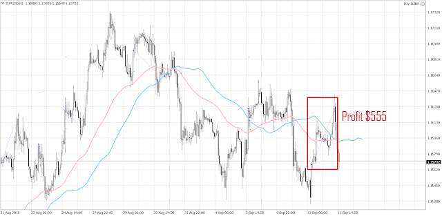 1024 The EURUSD turned higher and then, abruptly fell below 1.16 again.