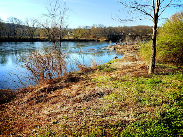 View of the Delaware River at Bushkill Access