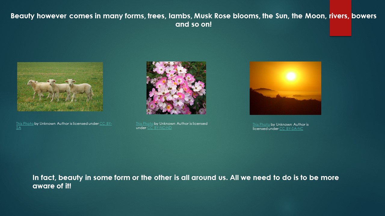 Sweet talk critical essays 07 image