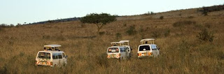 Kenya safari holiday vehicles during Masai Mara safari tour and travel in Masai Mara safari tour